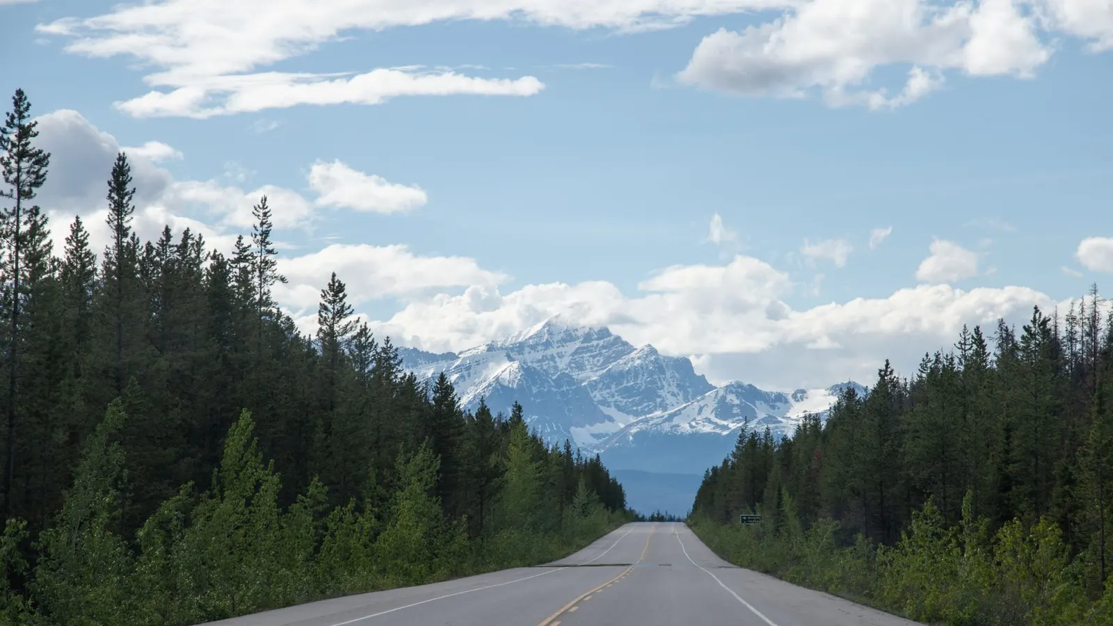 A road through national forest land toward the mountains