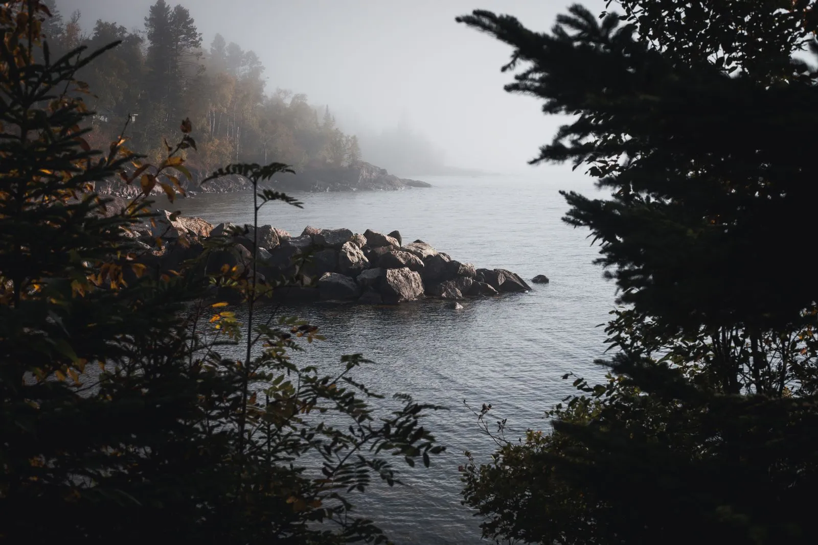 Still lake at dawn with dark spruce shoreline reflected in the water