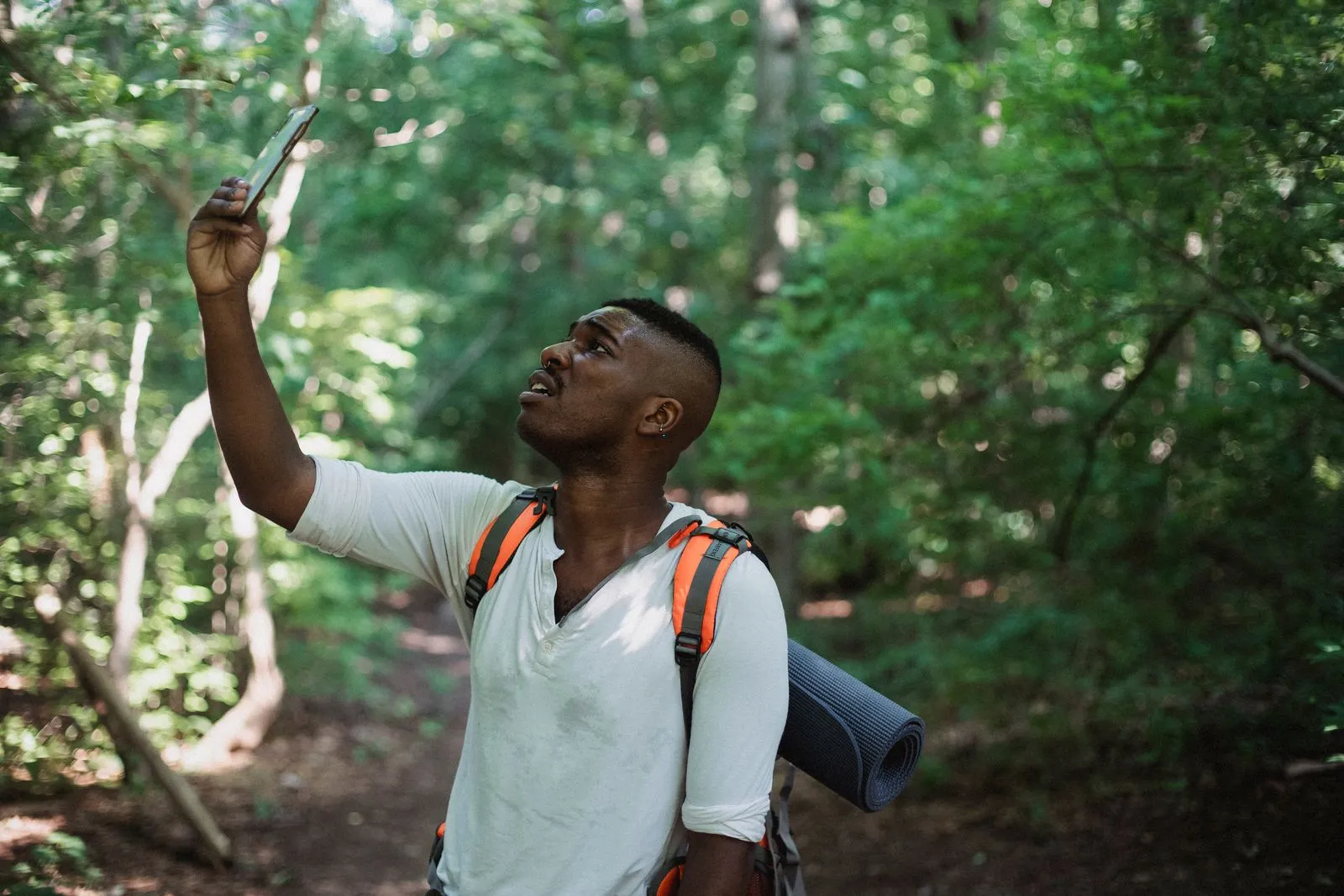 Person holding up a phone in a forest clearing checking for signal