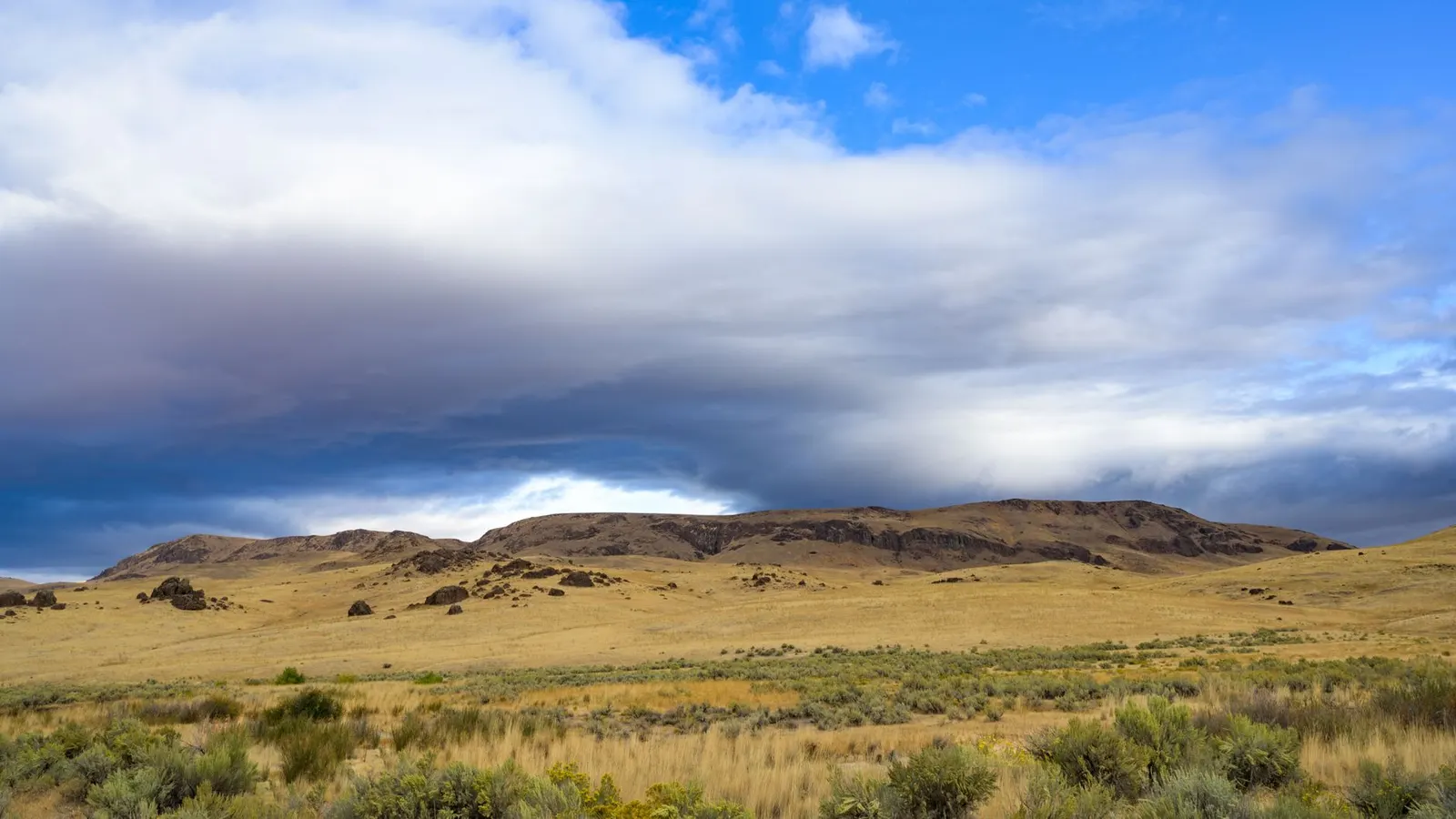 Sagebrush and dry grass below low rimrock bluffs under a broken sky
