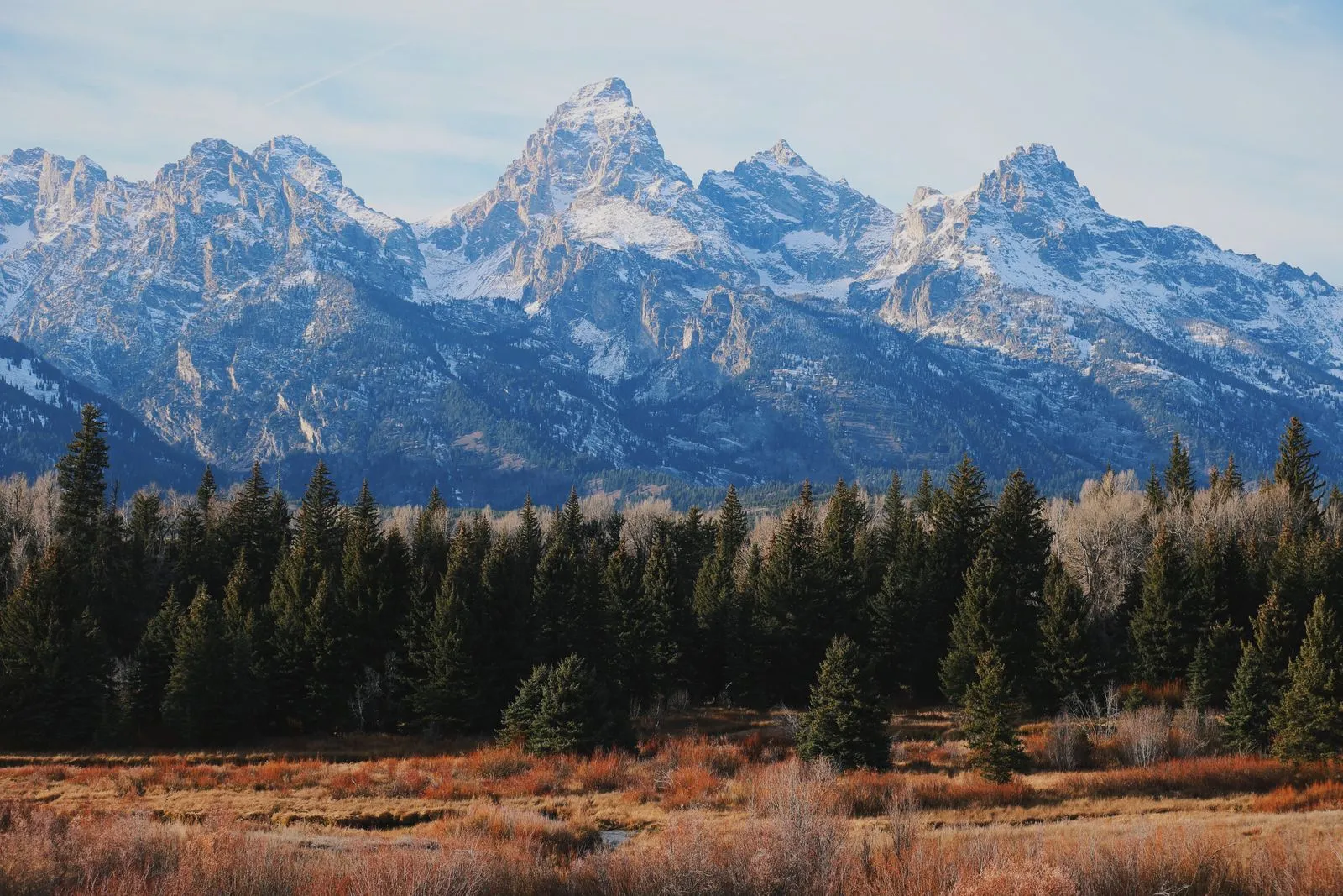 Grand Teton mountain range in Wyoming with evergreen forest in the foreground