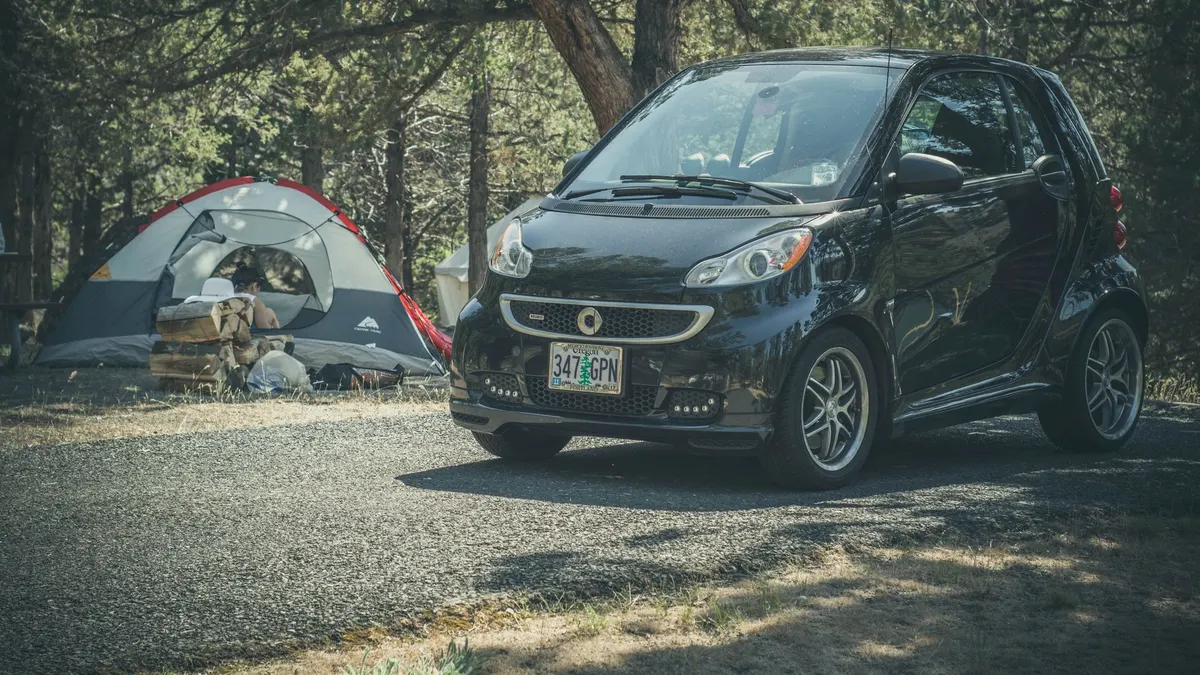 A dog resting at a campsite