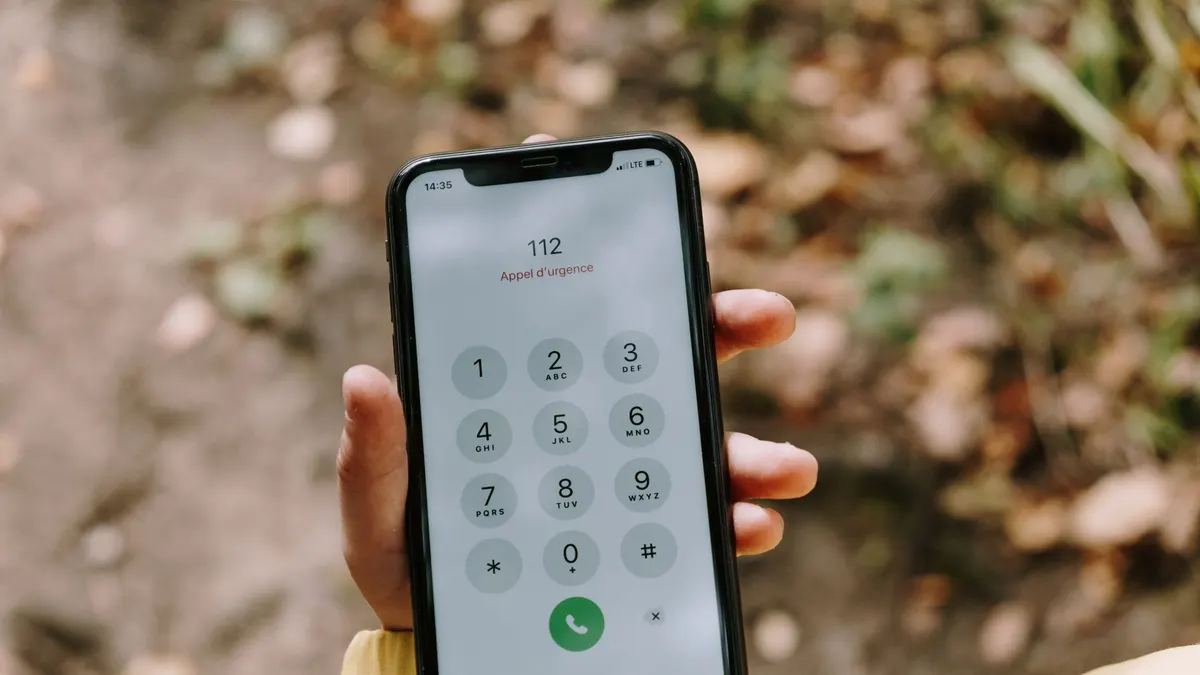 Phone showing no signal in remote country